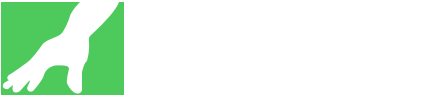 Fisioterapia Romana